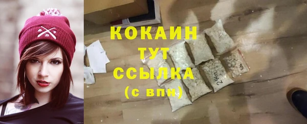 амф Горняк