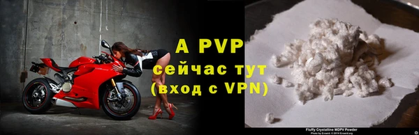 амф Горняк