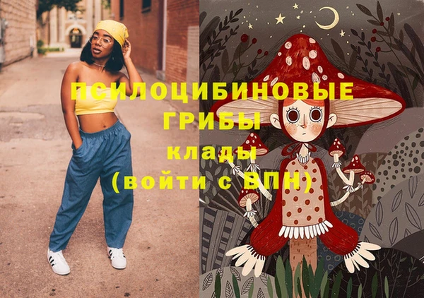 mdpv Вяземский