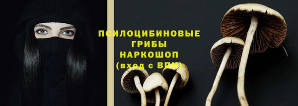 прущий лед Вязники