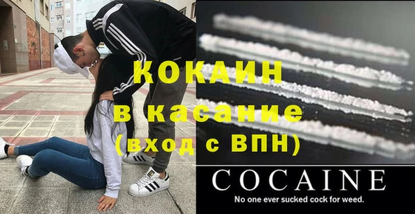 амф Горняк