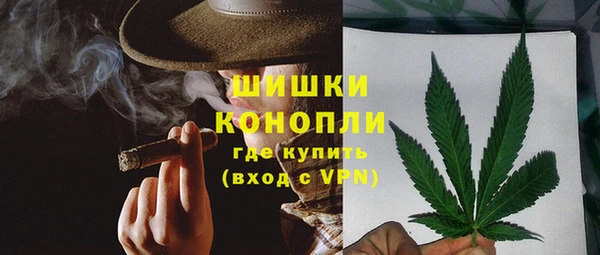 mdpv Вяземский