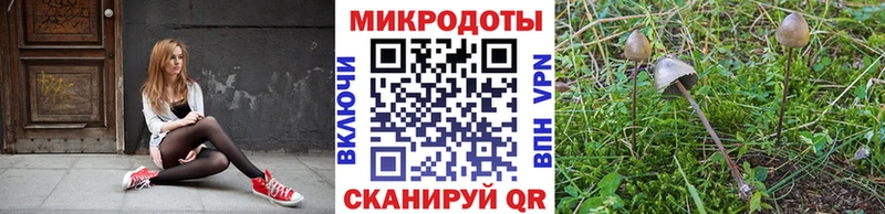 Псилоцибиновые грибы MAGIC MUSHROOMS  Чусовой 